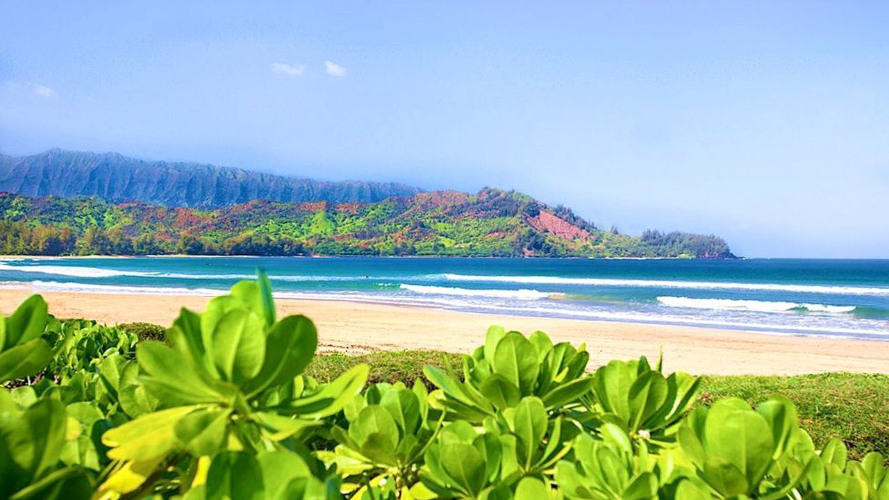 Photo of Others in Hanalei