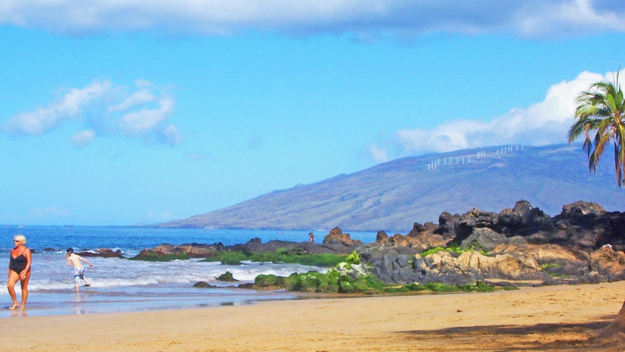 Photo of Others in Kihei