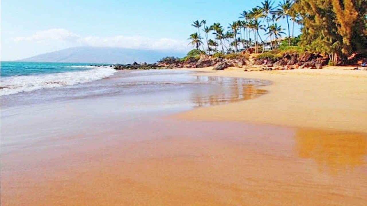 Photo of Others in Kihei