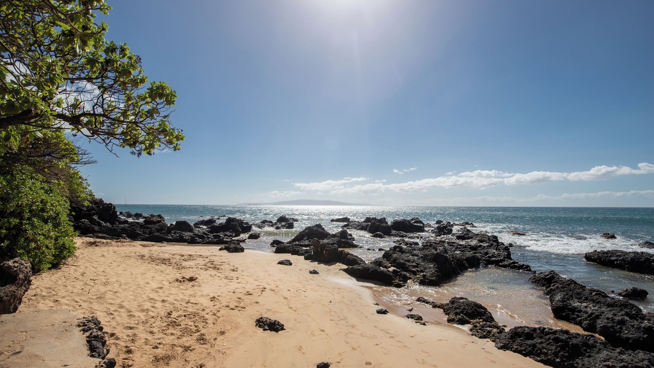 Photo of Others in Kihei