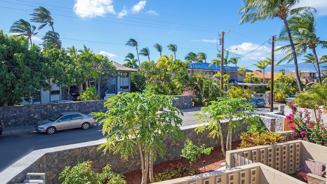 Photo of Outdoor in Kihei