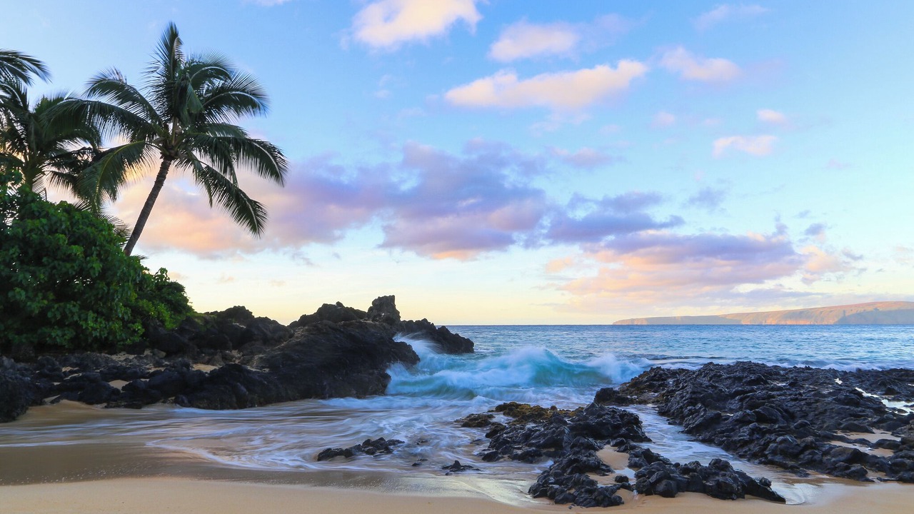 Photo of Others in Kihei