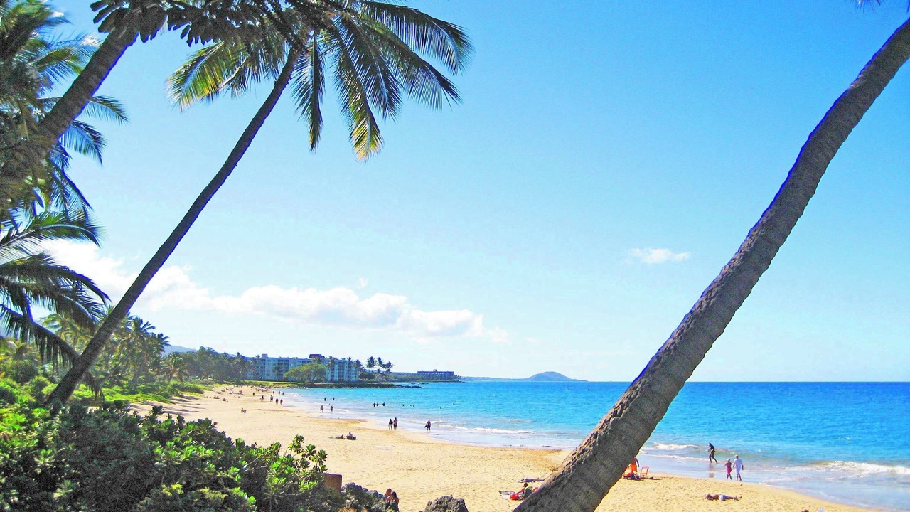 Photo of Others in Kihei