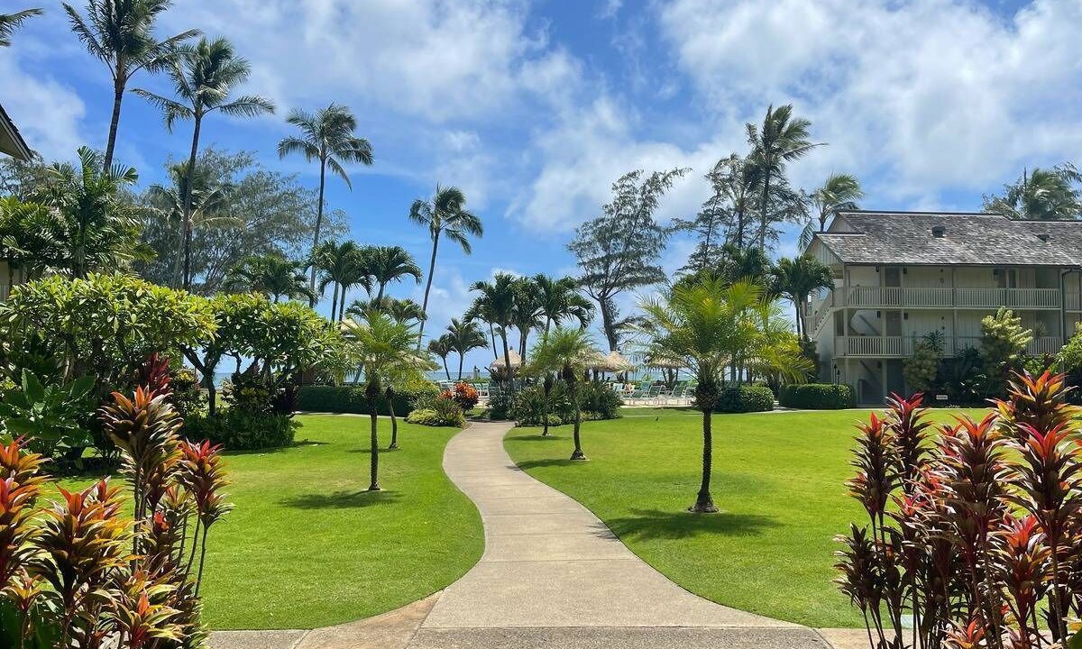 Photo of Outdoor in Kapaa