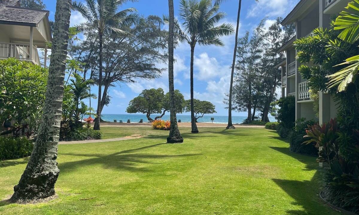 Photo of Outdoor in Kapaa