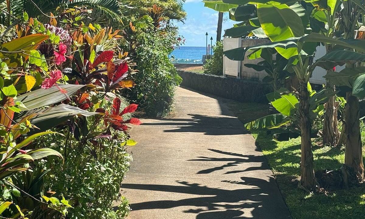 Photo of Outdoor in Kapaa