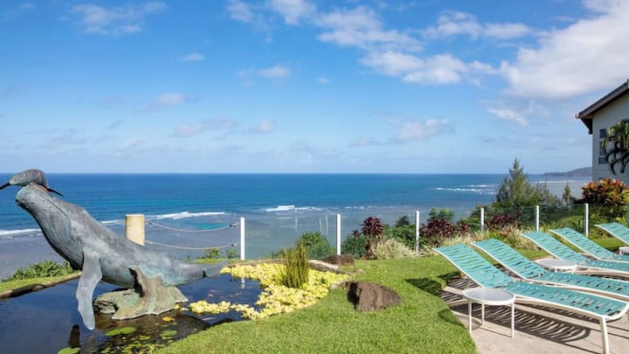 Photo of Outdoor in Princeville