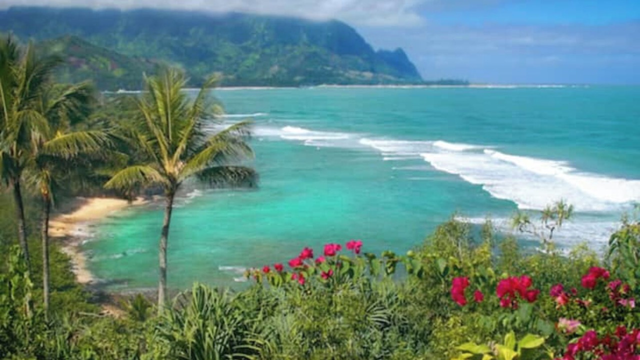 Photo of Others in Princeville