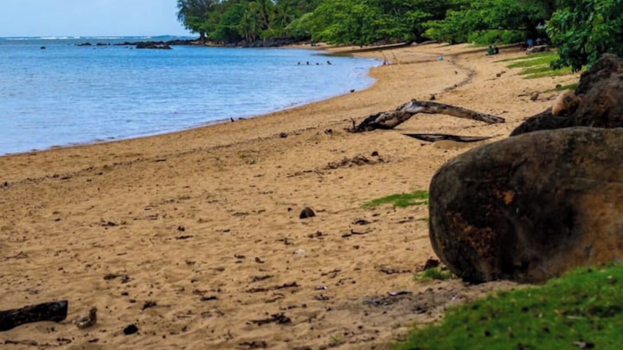 Photo of Others in Princeville