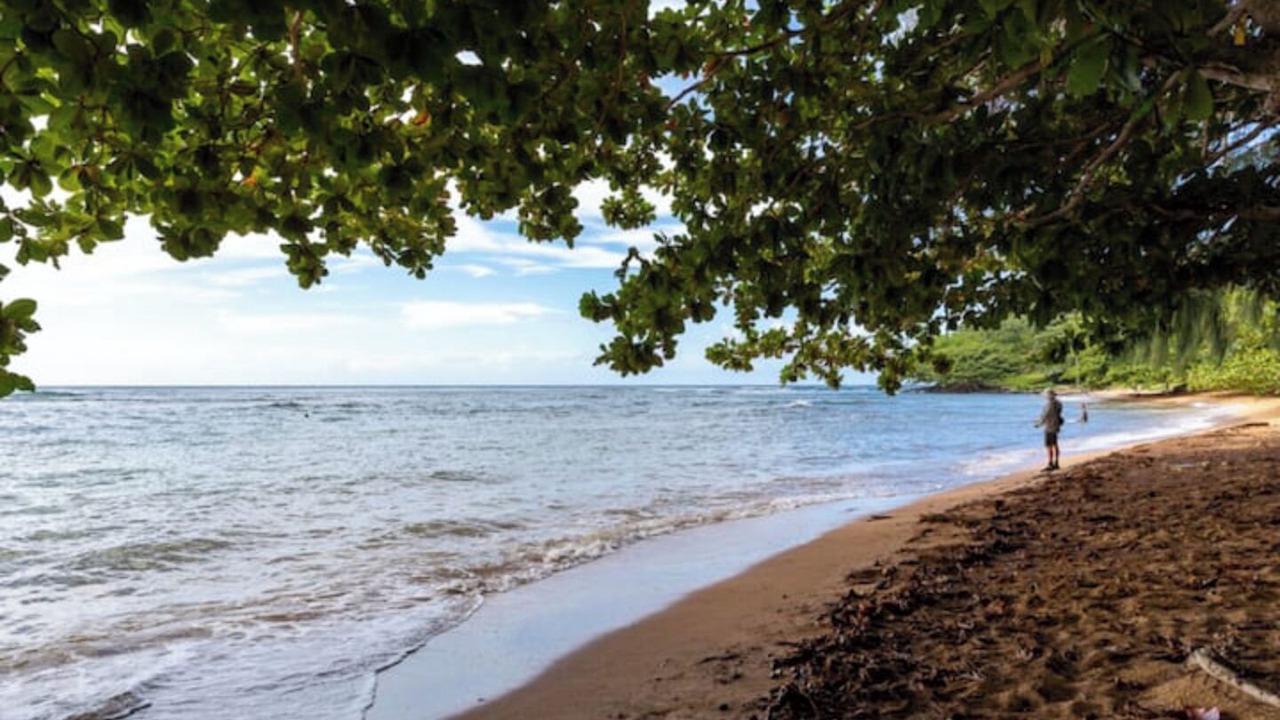 Photo of Others in Princeville