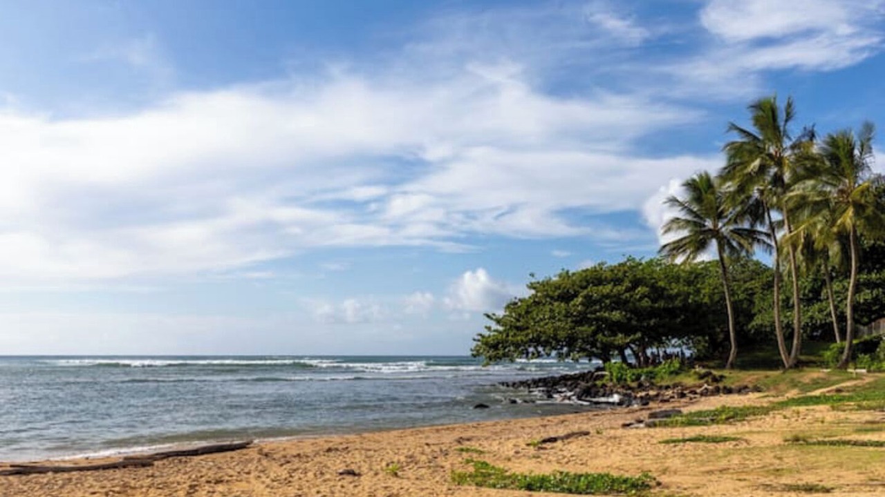 Photo of Others in Princeville