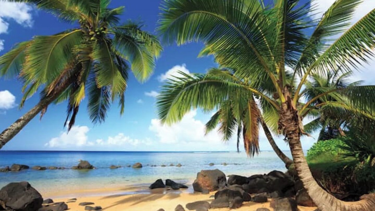 Photo of Others in Princeville