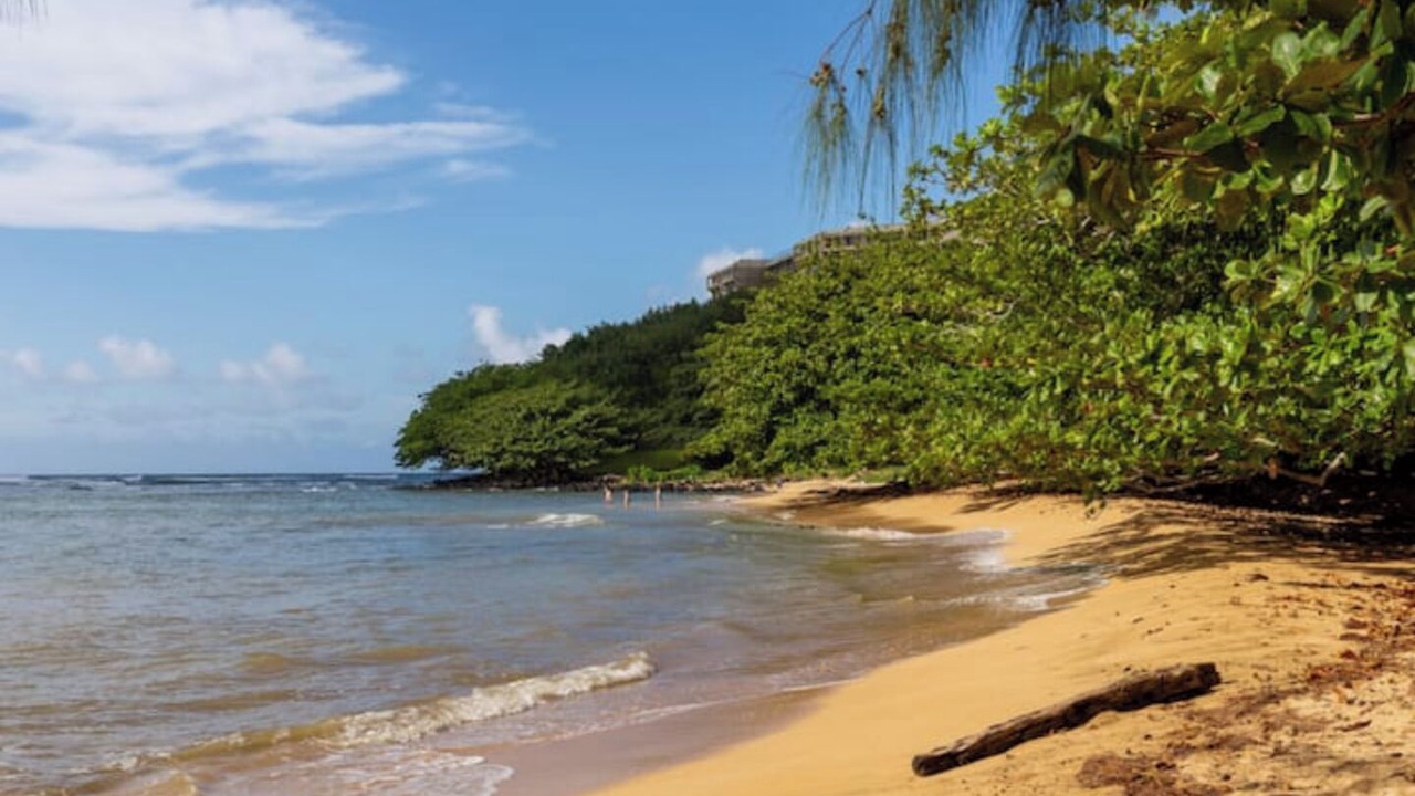 Photo of Others in Princeville