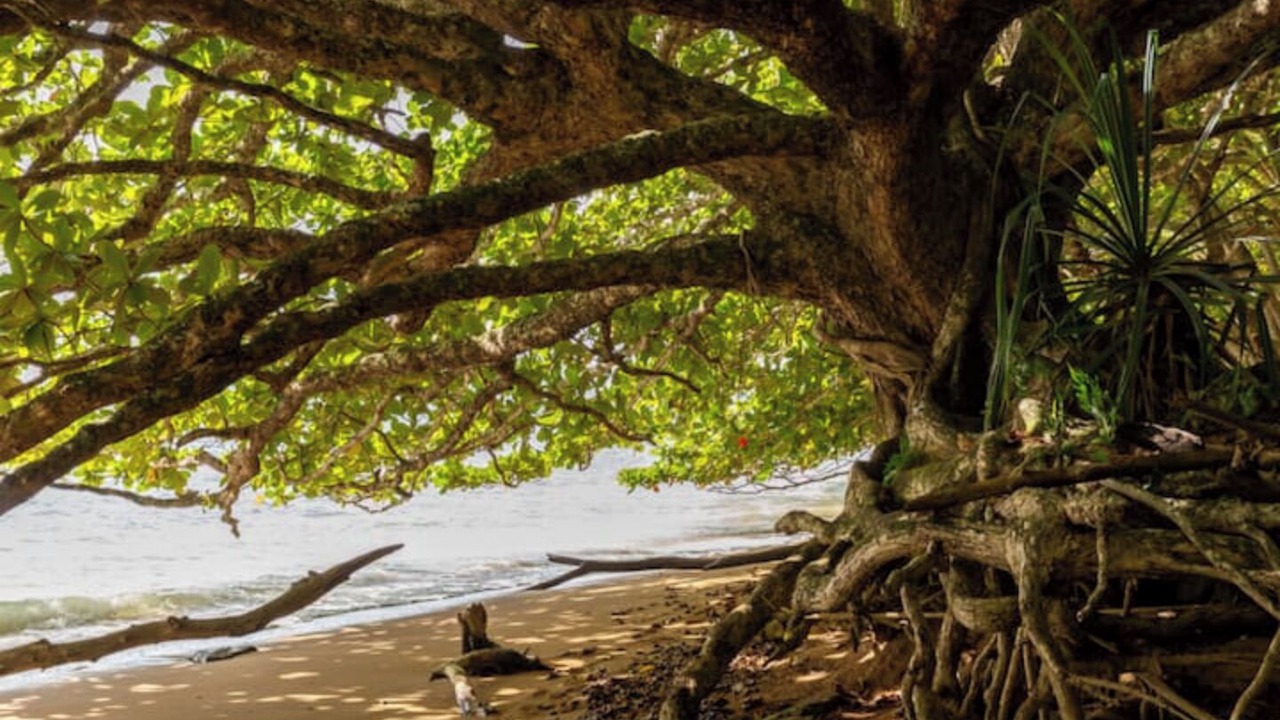 Photo of Others in Princeville