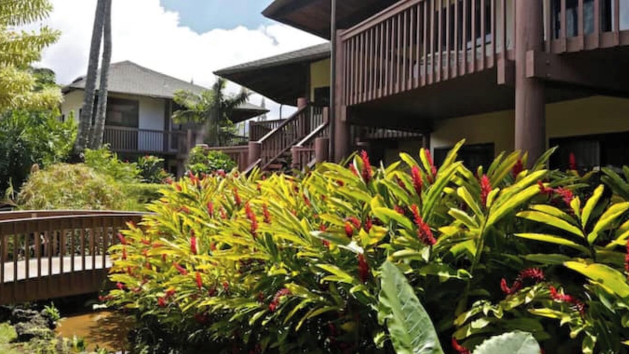 Photo of Outdoor in Princeville