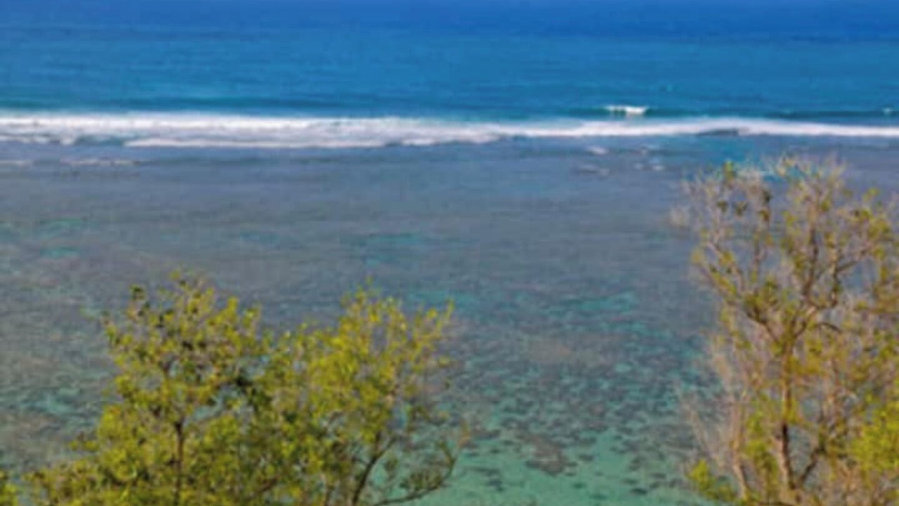 Photo of Others in Princeville