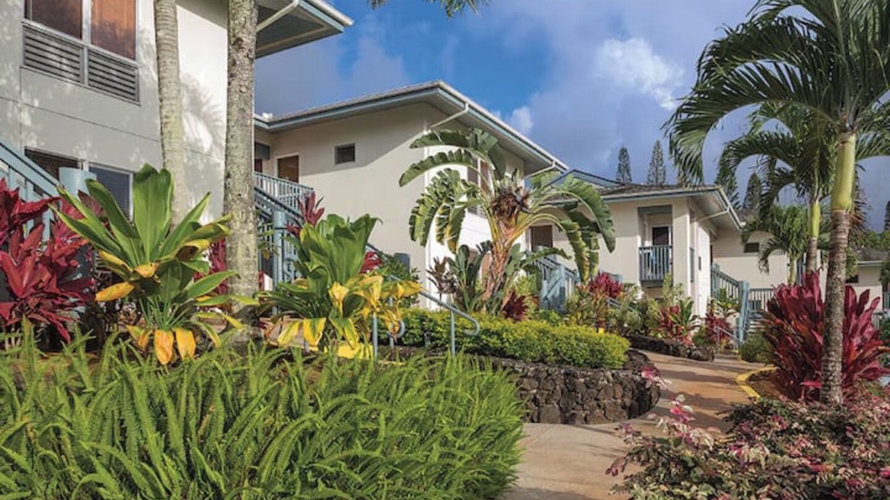 Photo of Outdoor in Princeville