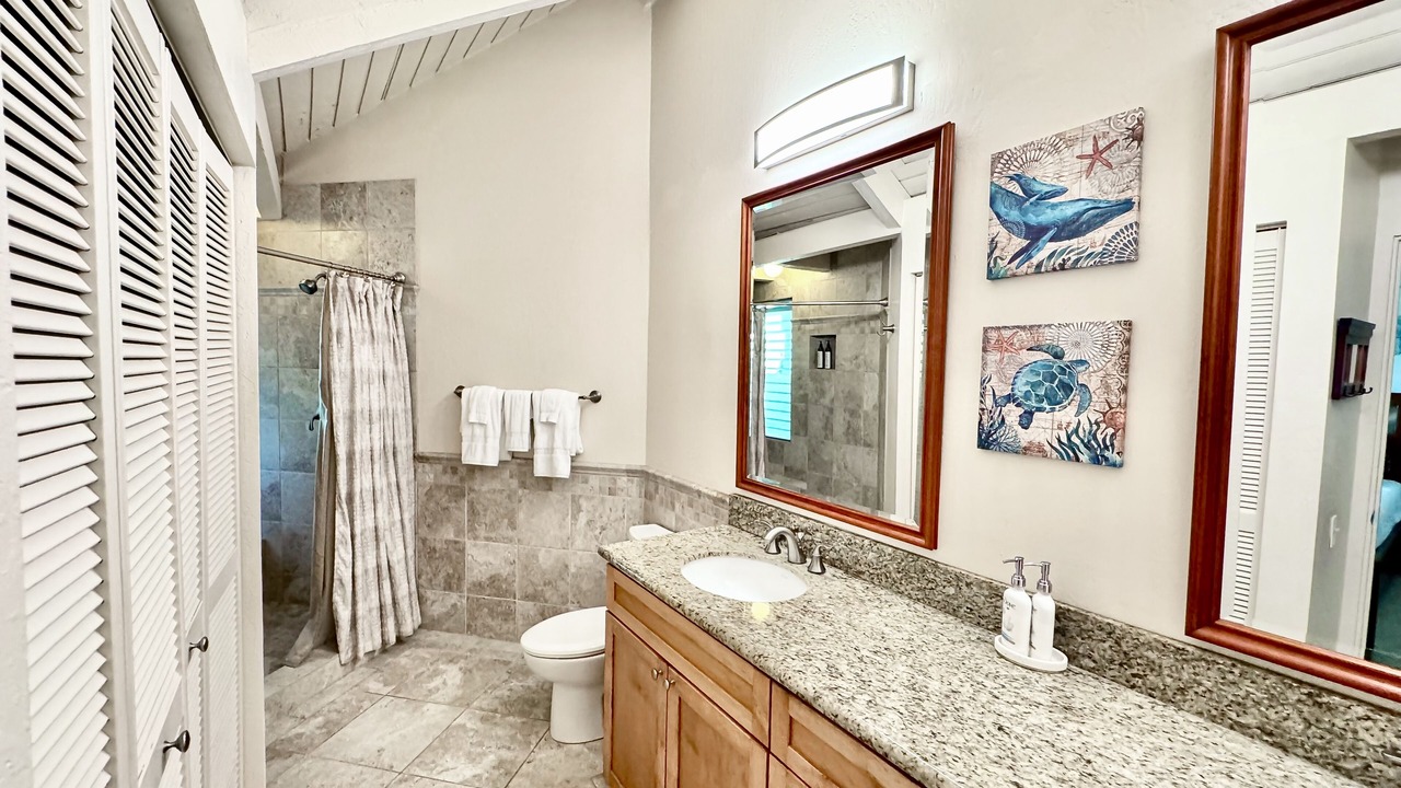 Photo of Bathroom in Princeville