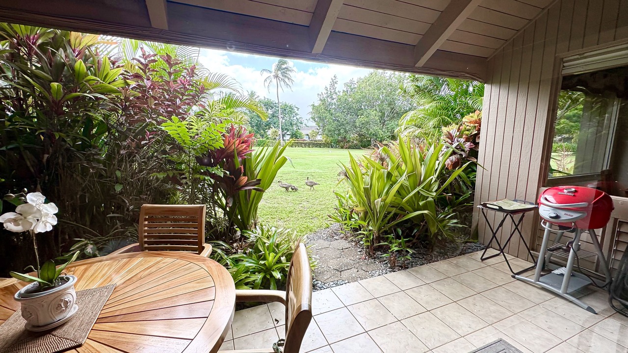 Photo of Outdoor in Princeville