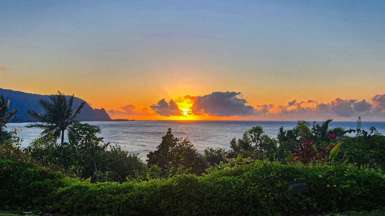 Photo of Others in Princeville