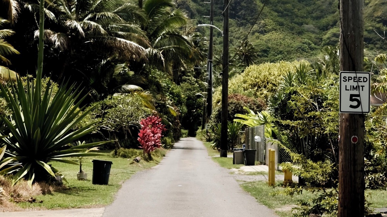 Photo of Outdoor in Waialee