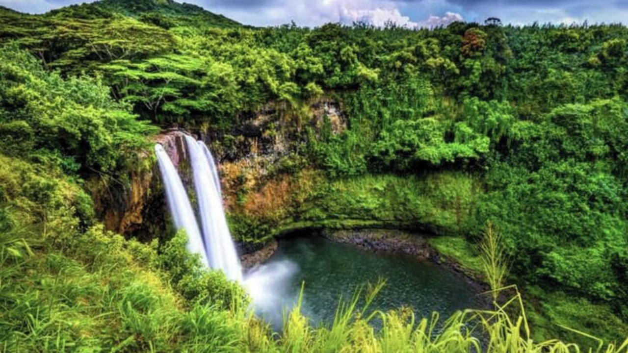 Photo of Outdoor in Princeville
