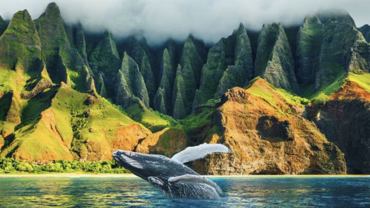 Photo of Others in Princeville