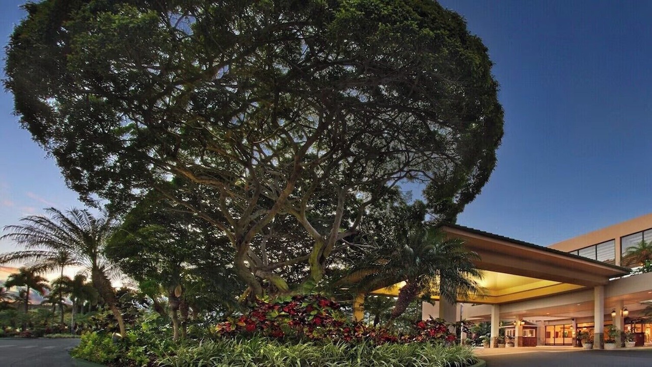 Photo of Outdoor in Kaanapali