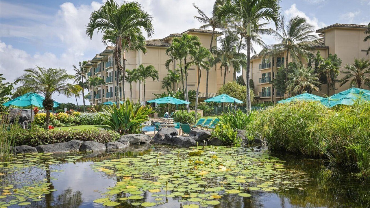 Photo of Others in Wailua