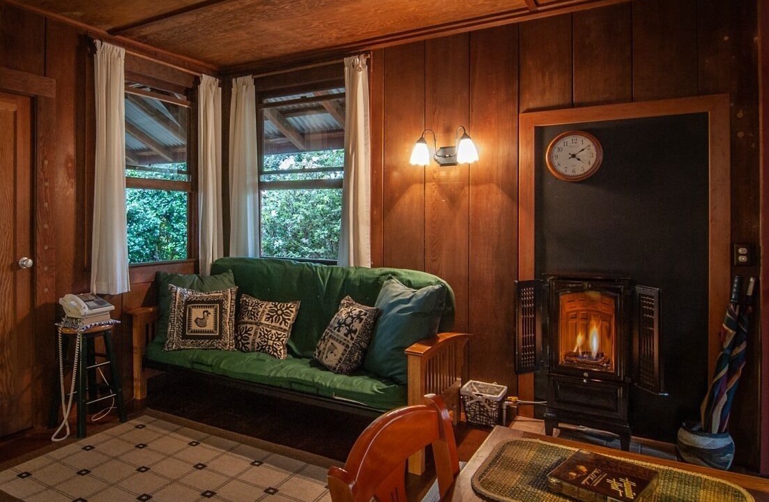 Photo of Livingroom in Volcano