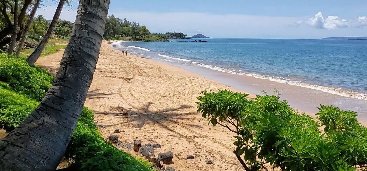 Photo of Others in Kihei