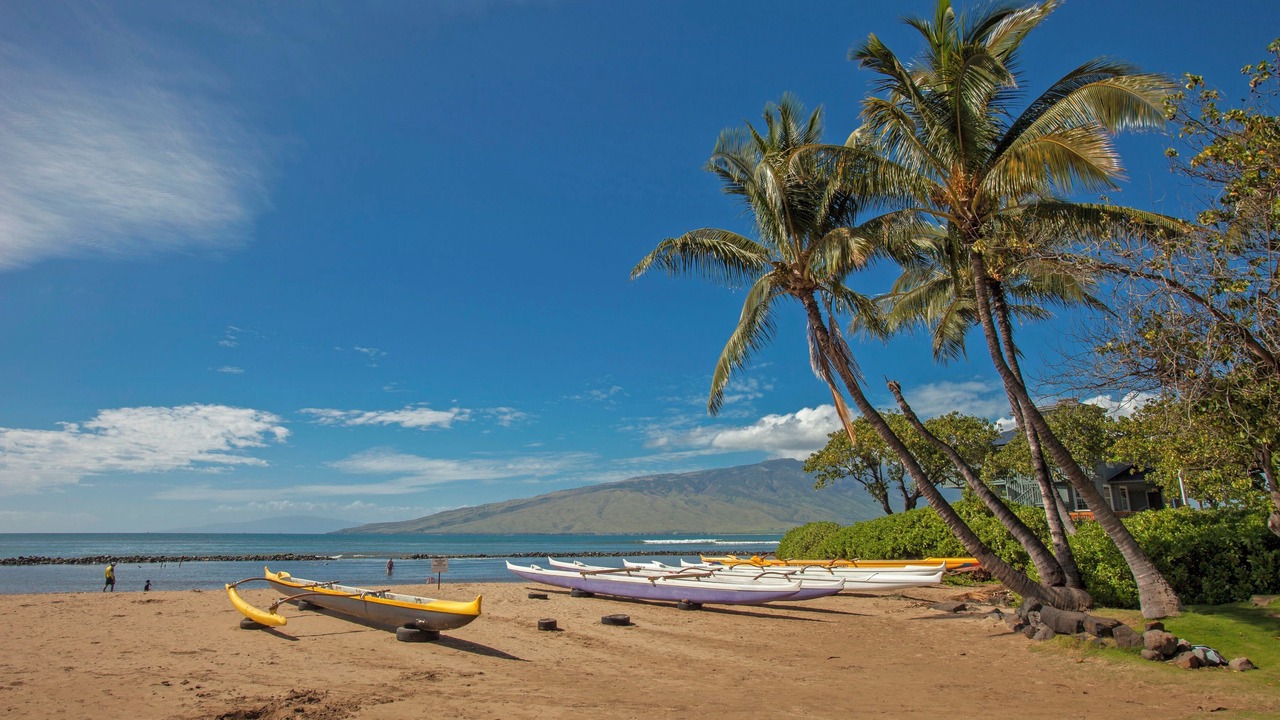 Photo of Others in Kihei