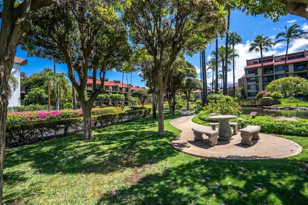 Photo of Outdoor in Kihei