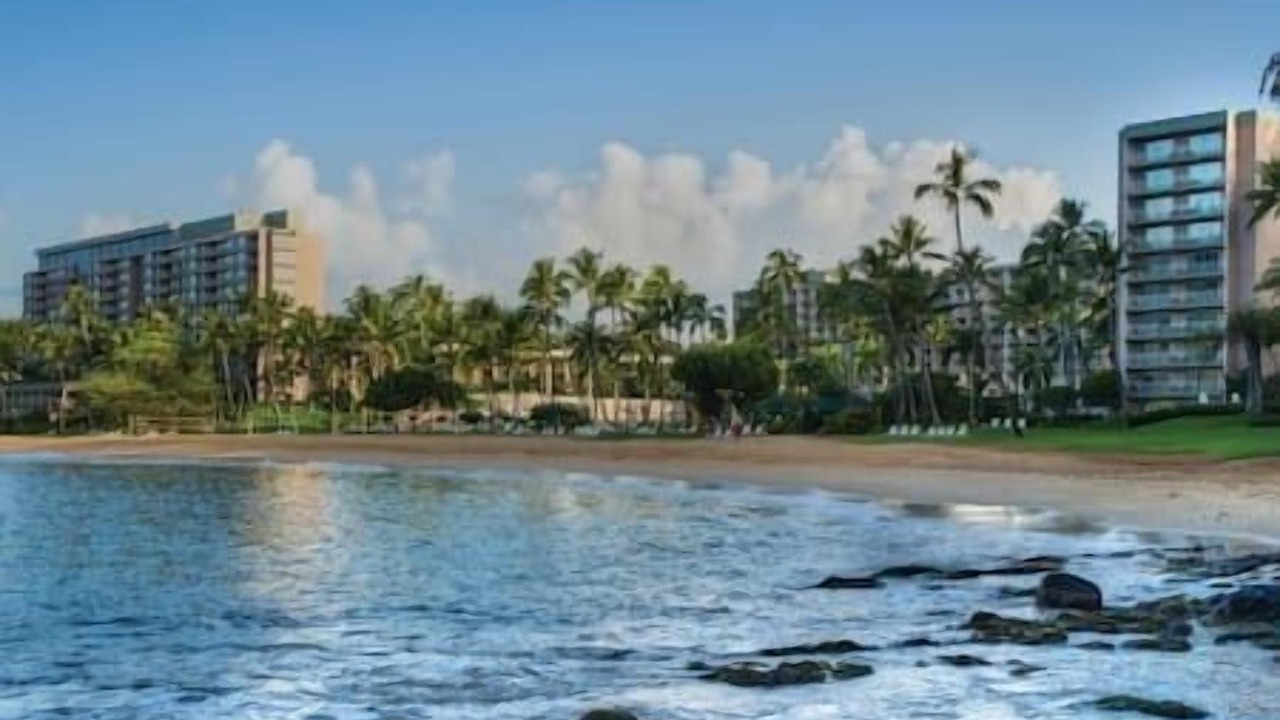 Photo of Others in Lihue