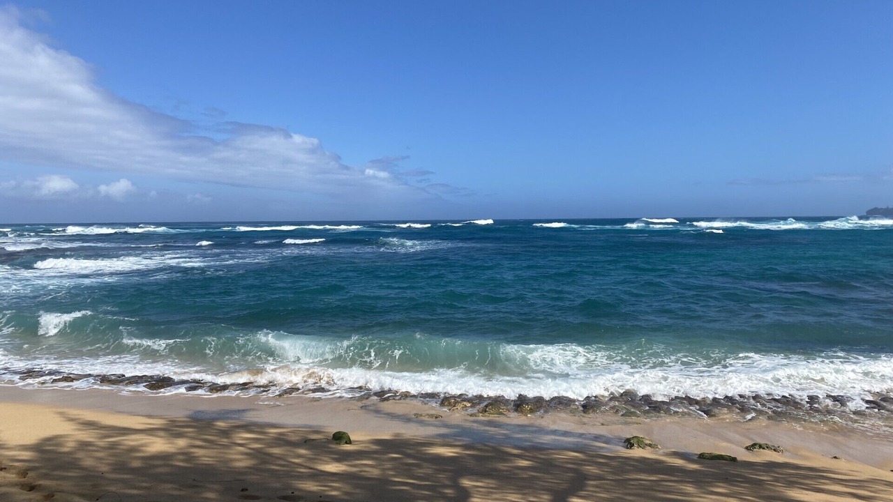 Photo of Others in Wainiha