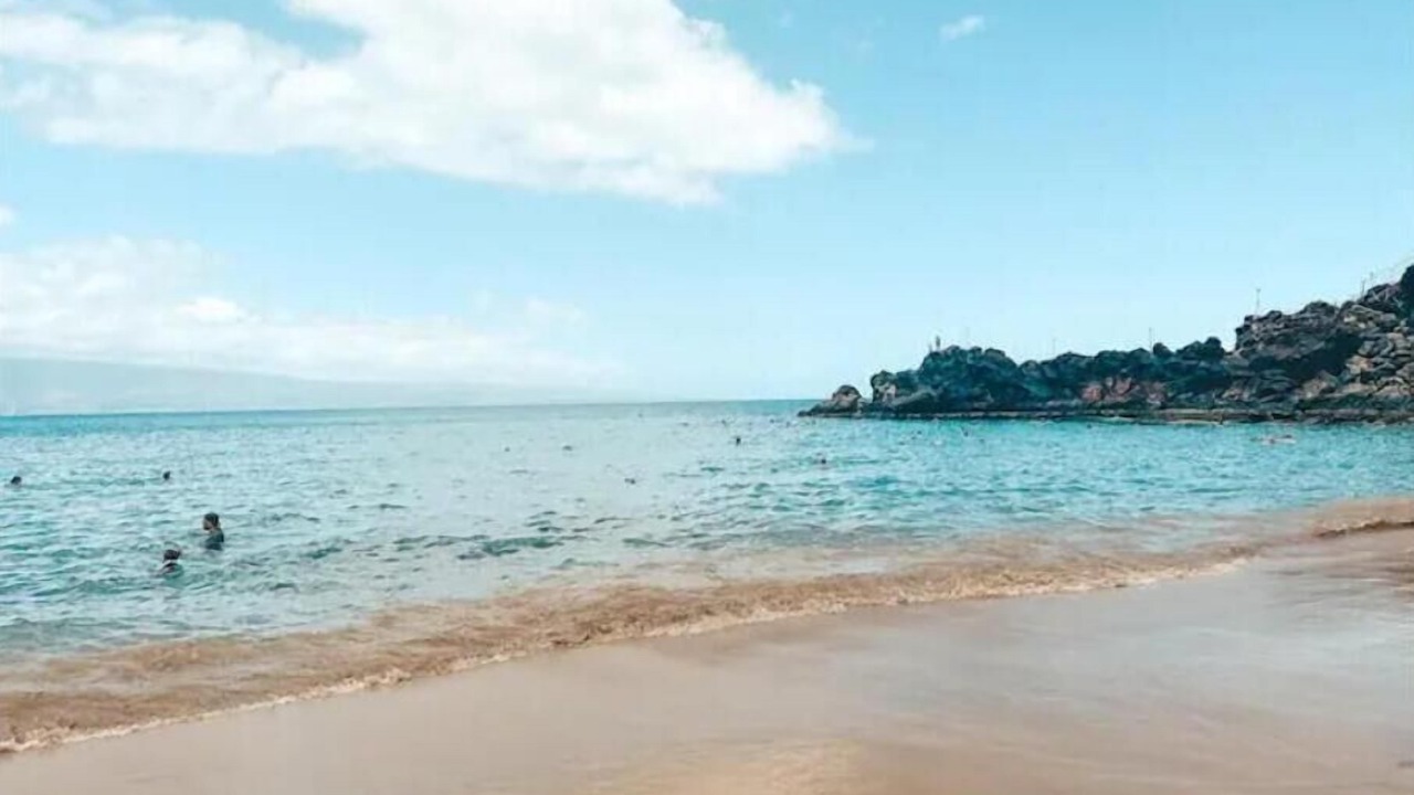 Photo of Others in Kihei