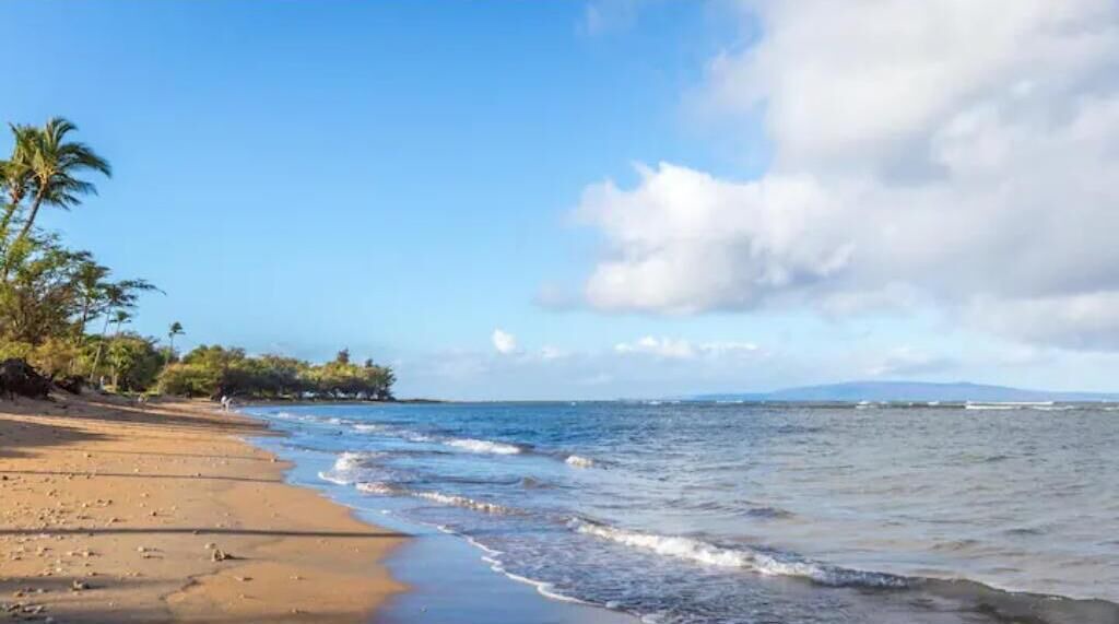 Photo of Others in Kihei