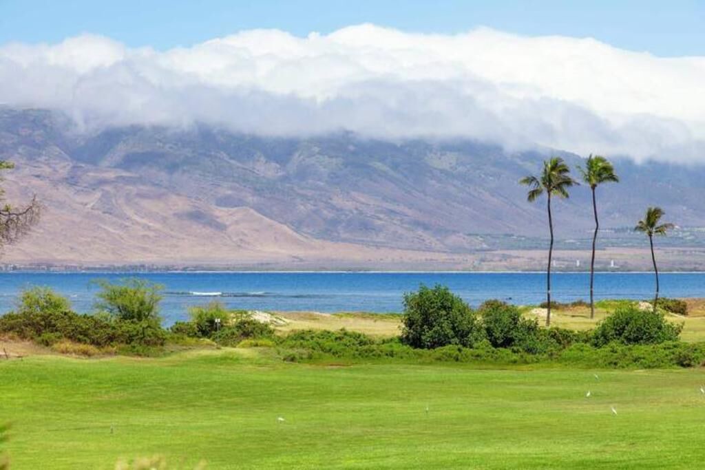 Photo of Others in Kihei