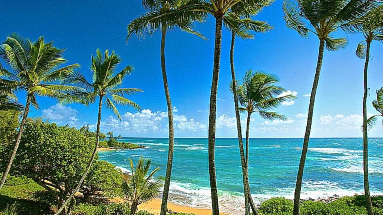 Photo of Others in Wailua