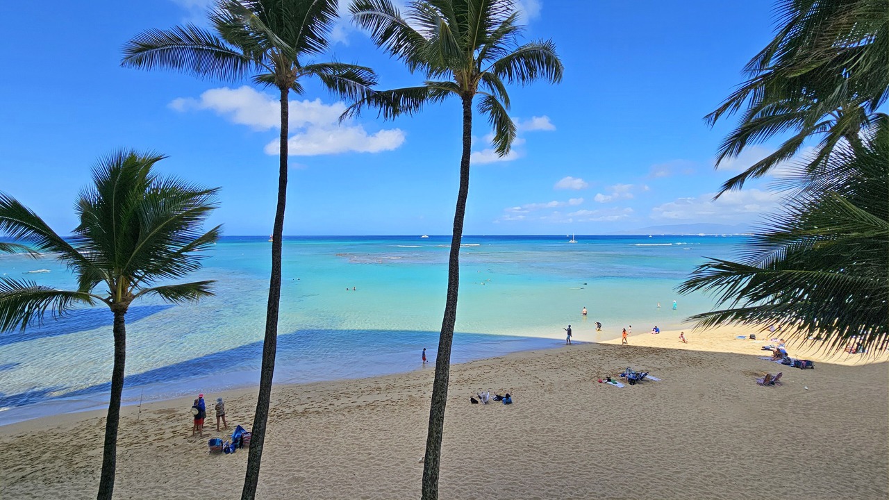 Photo of Others in Diamond Head - Kapahulu - St. Louis