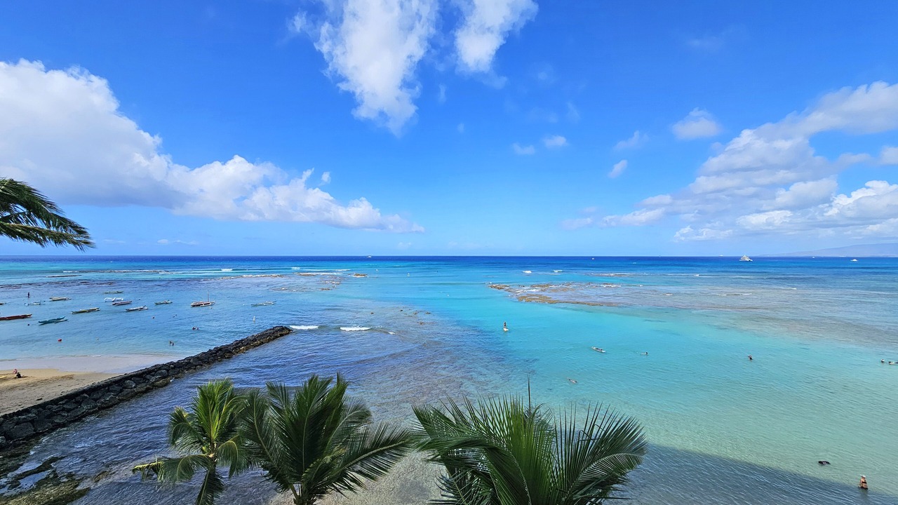 Photo of Others in Diamond Head - Kapahulu - St. Louis