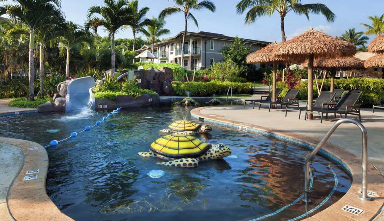 Photo of Outdoor in Princeville