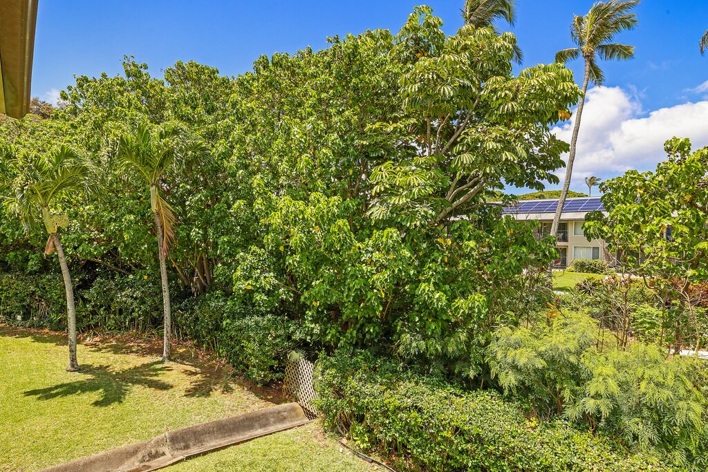 Photo of Others in Napili