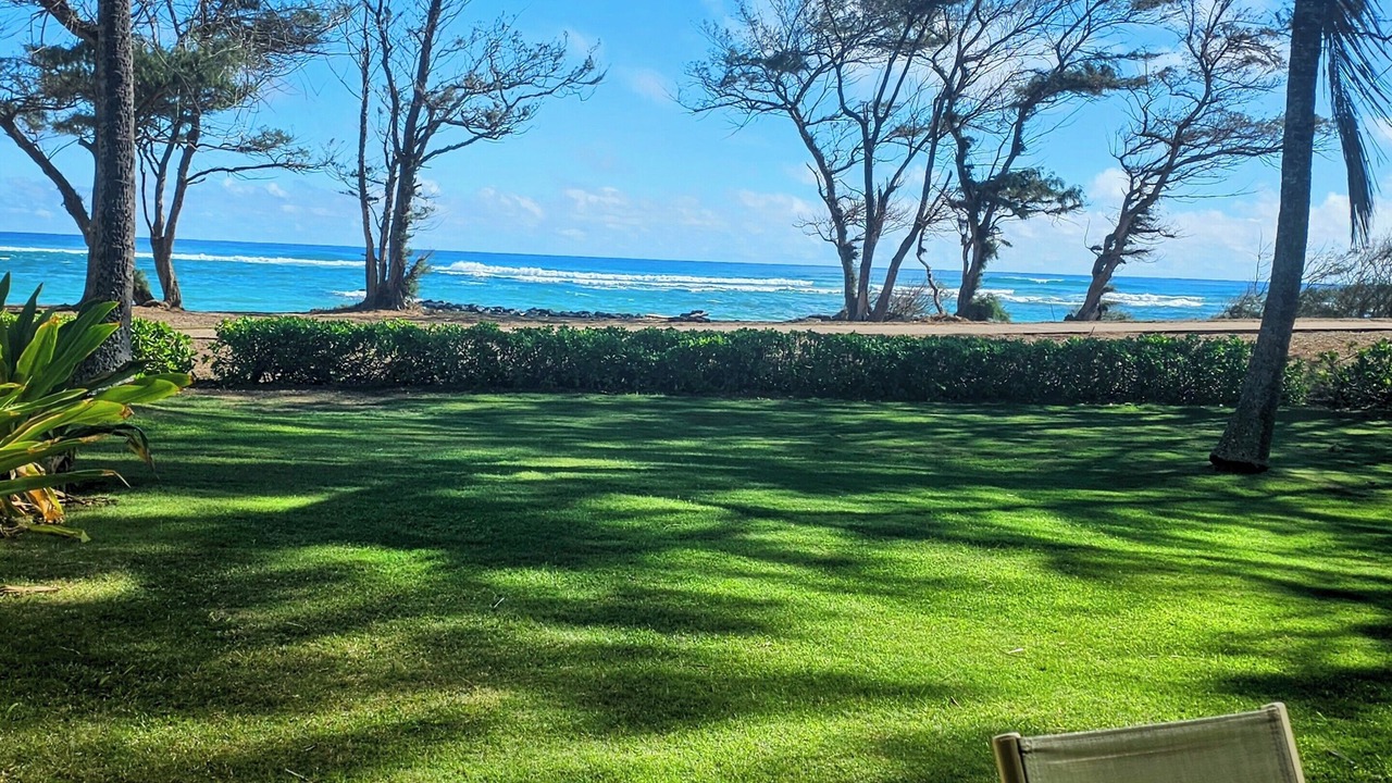 Photo of Others in Kapaa