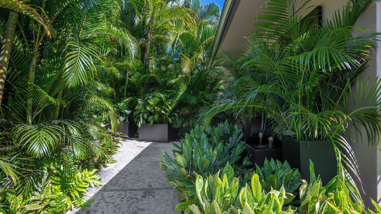Photo of Outdoor in Kaupulehu