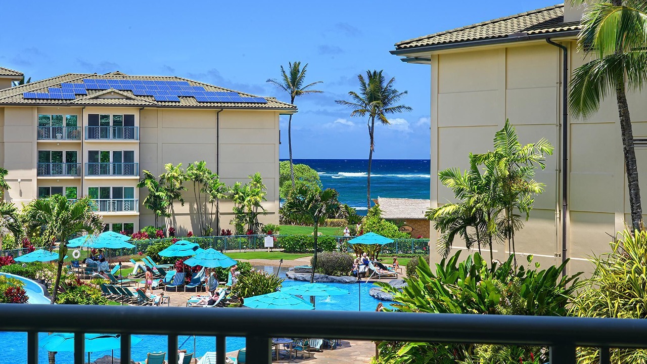 Photo of Others in Wailua