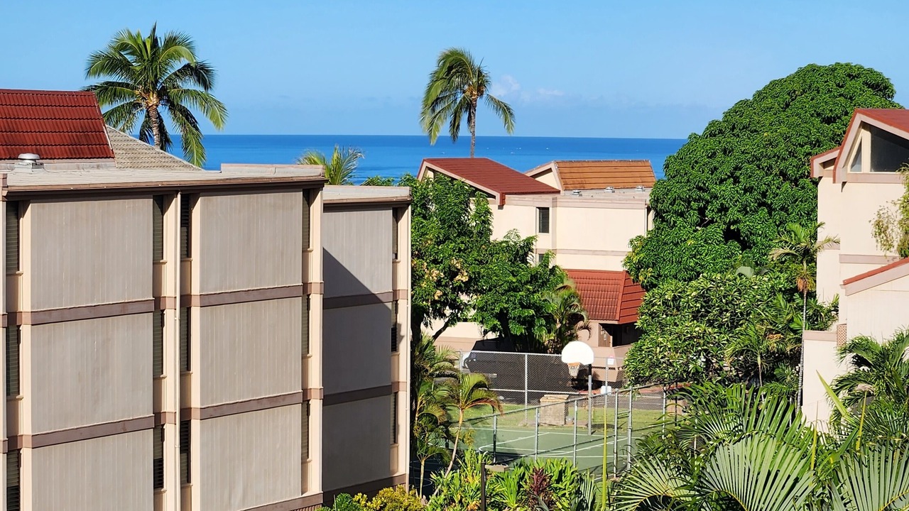 Photo of Others in Makaha Valley