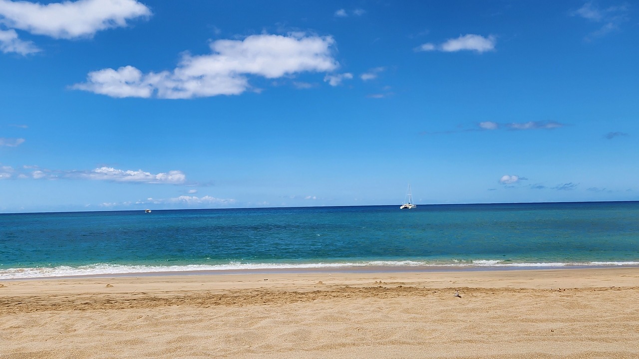 Photo of Others in Makaha Valley
