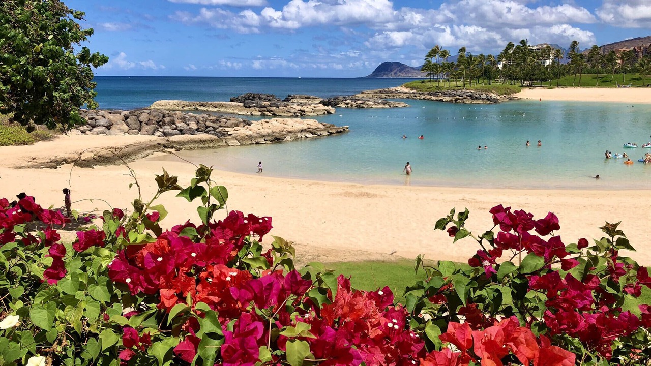 Photo of Others in Ko Olina