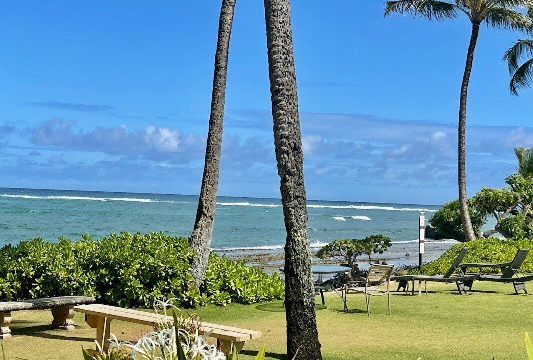 Photo of Outdoor in Kapaa